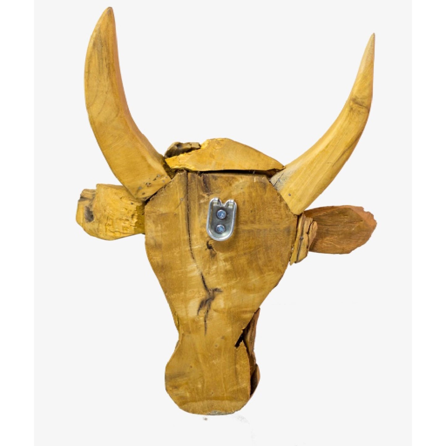 Bull Head with Long Horn