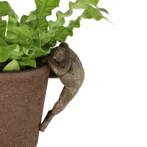 Pot Hanger - Frog
