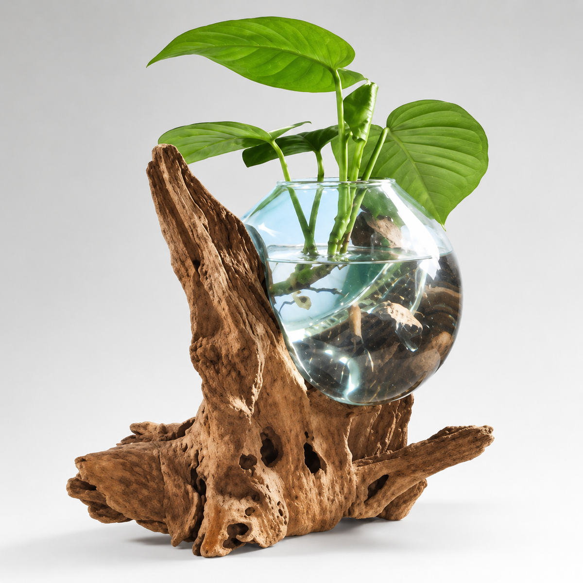 Solo Water Drop Bowl