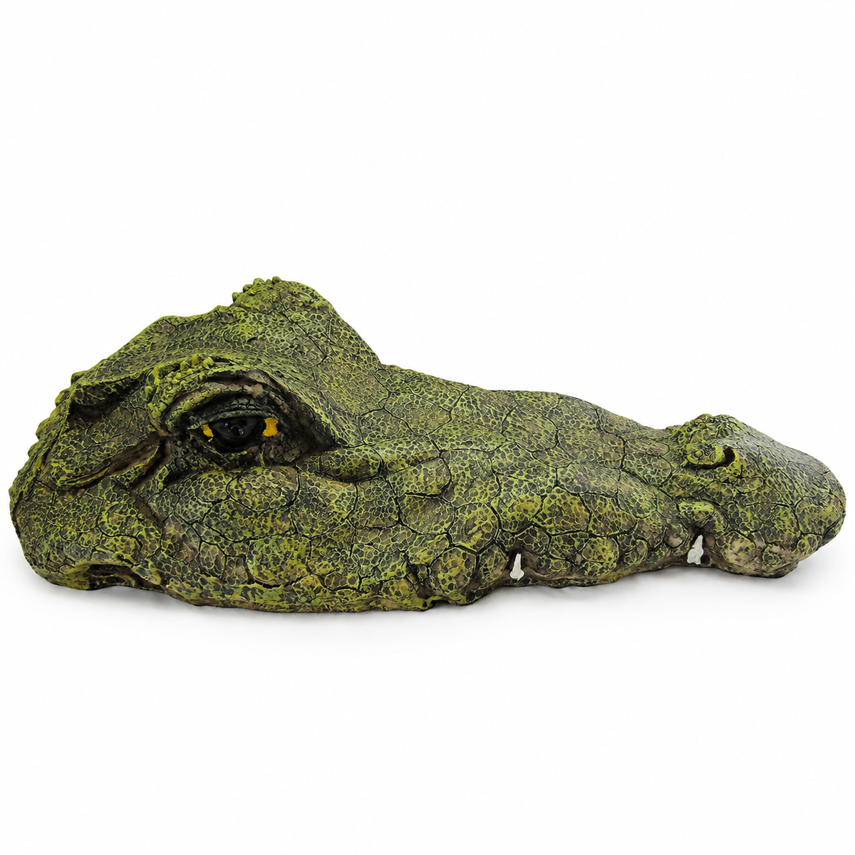 Floating Croc Head
