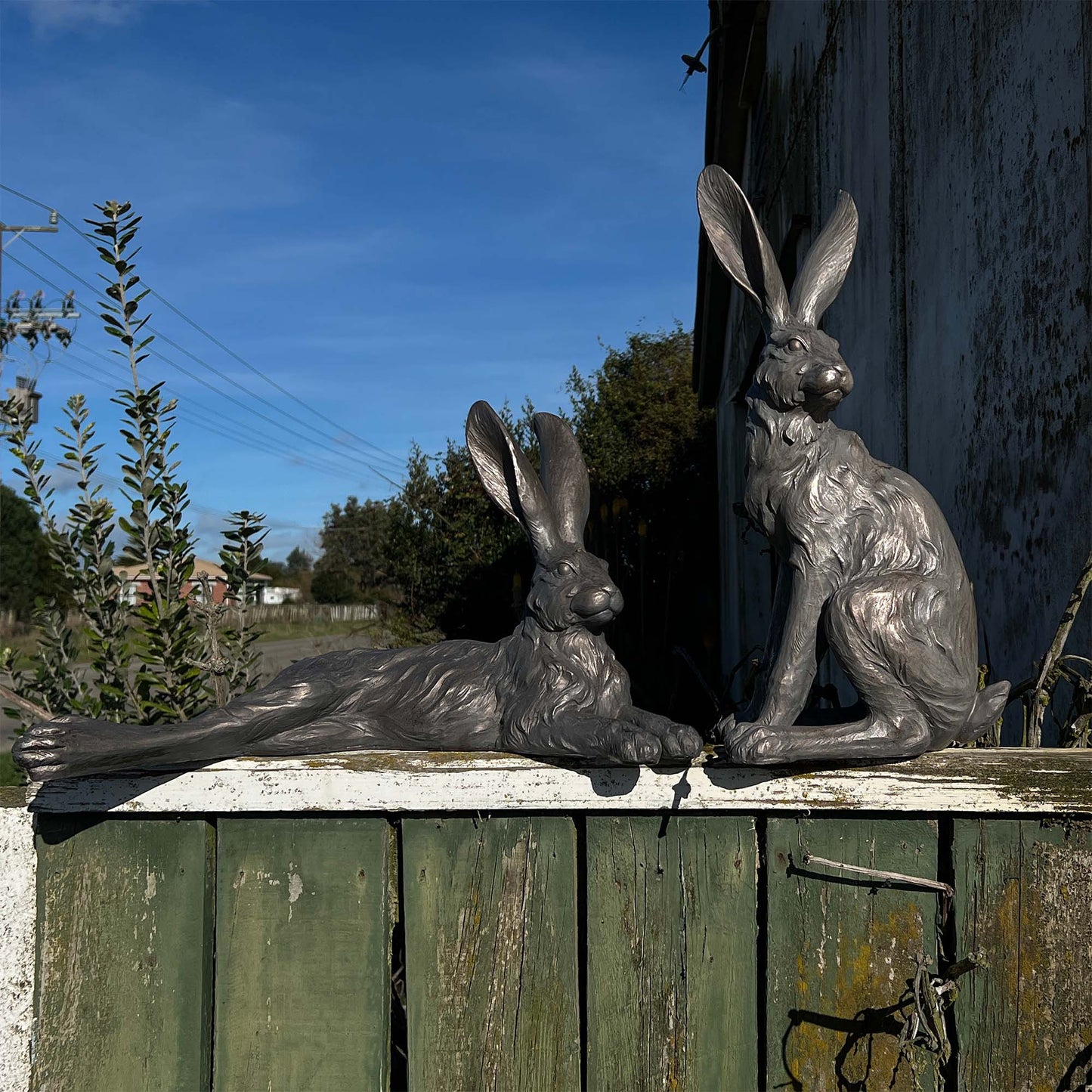 Truffle country Hare-Standing Grey
