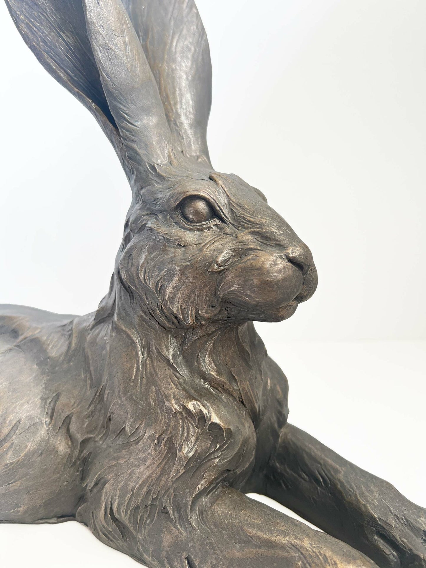 Shadow Country Hare - Resting Grey