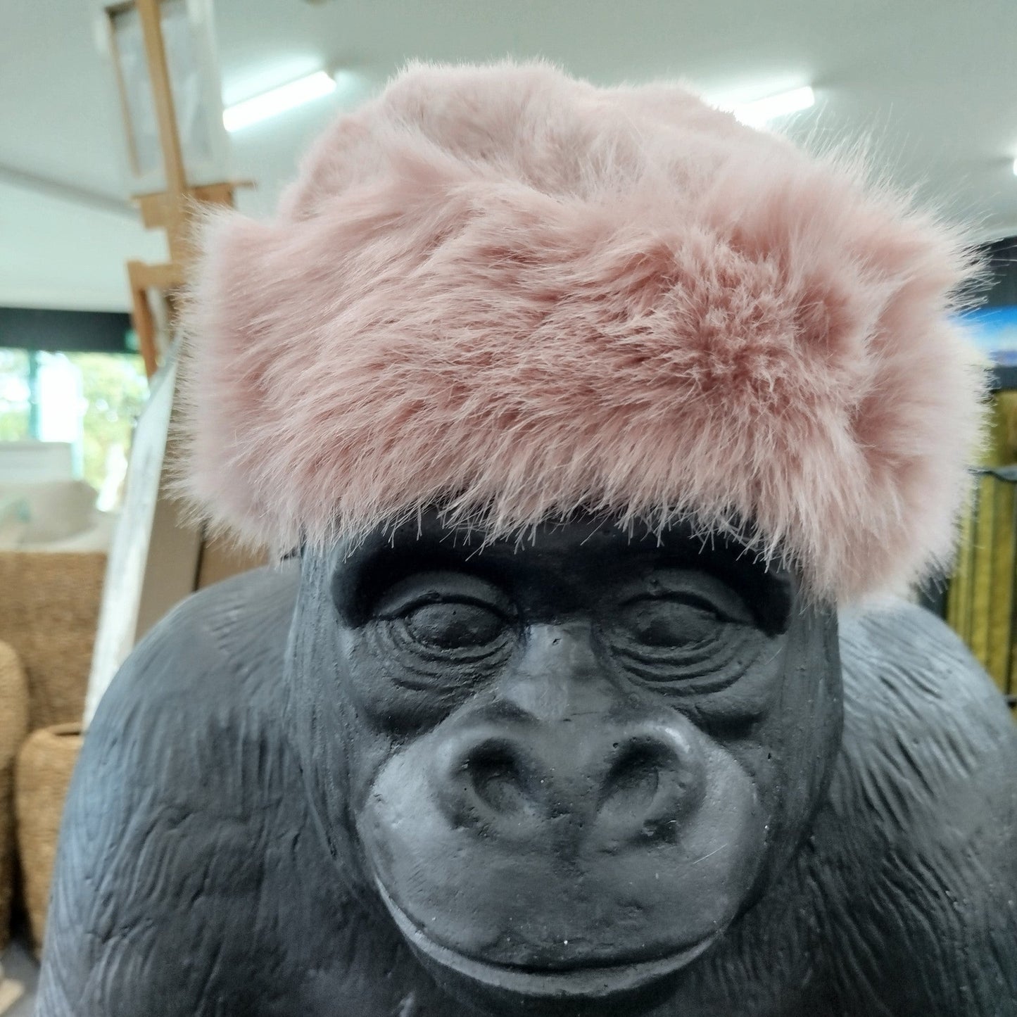 Winter Hat