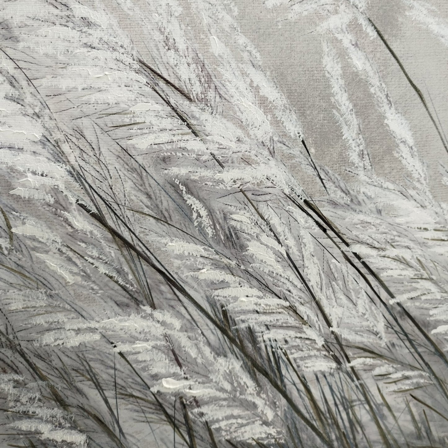 Framed Art - Wind Blown Feather