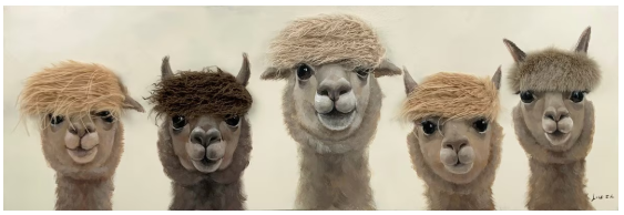 Art Canvas - Bad Hair Day - 5 Alpaca - In A Row
