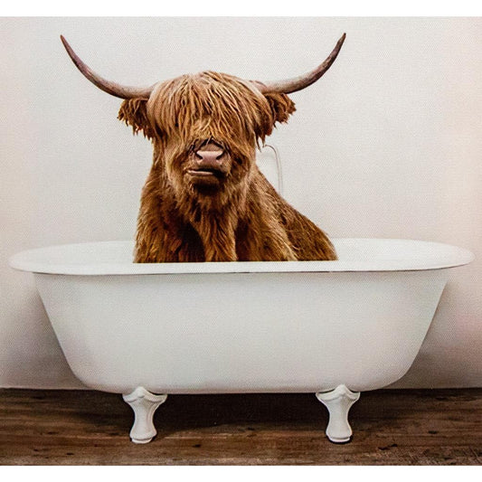 Framed Bath Time Highland Cow 30cm x 40cm