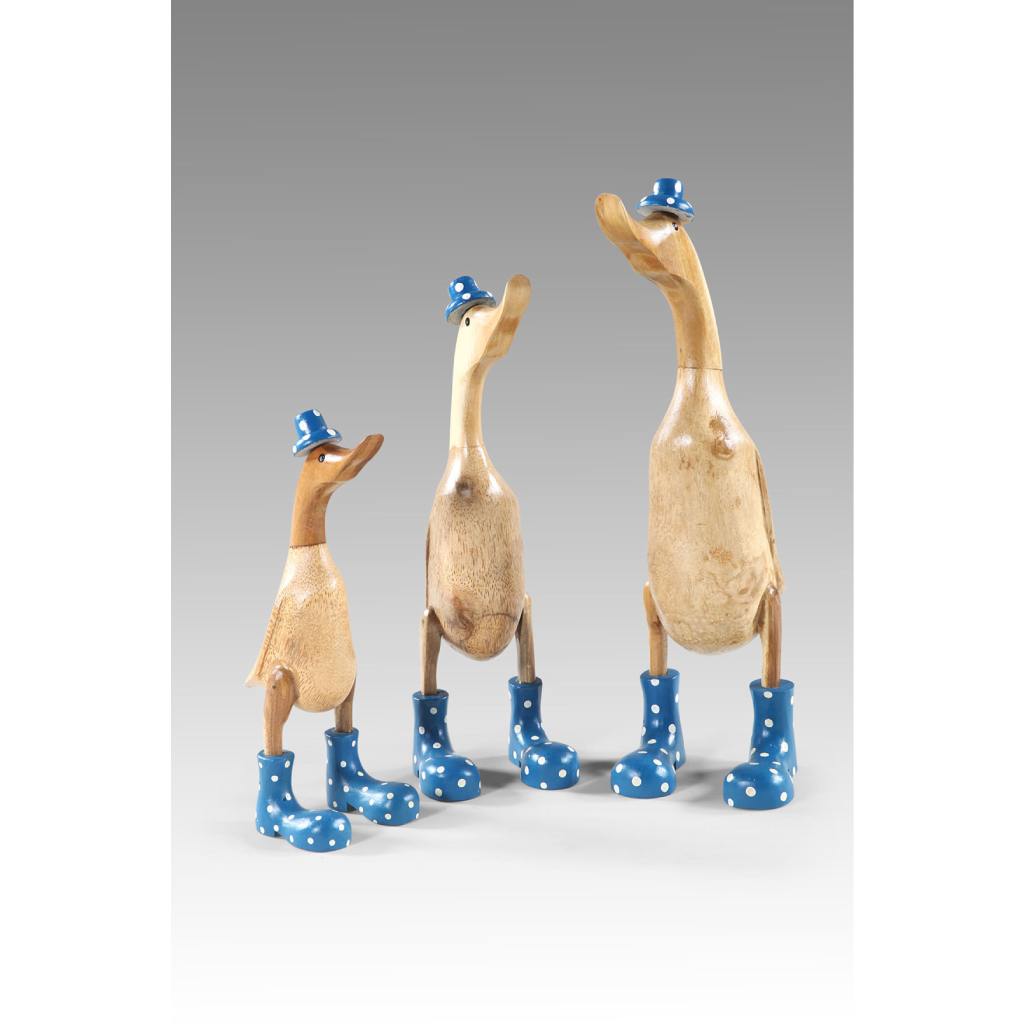 Funky Ducks Set of 3 - Blue