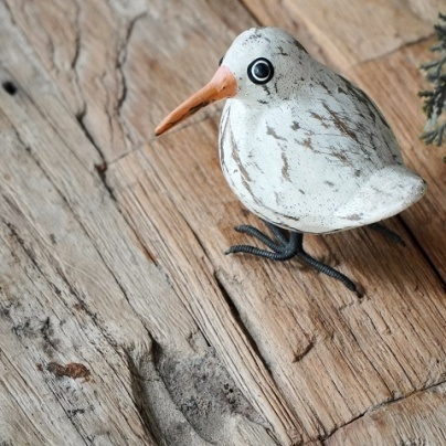 Seagull bird bella single
