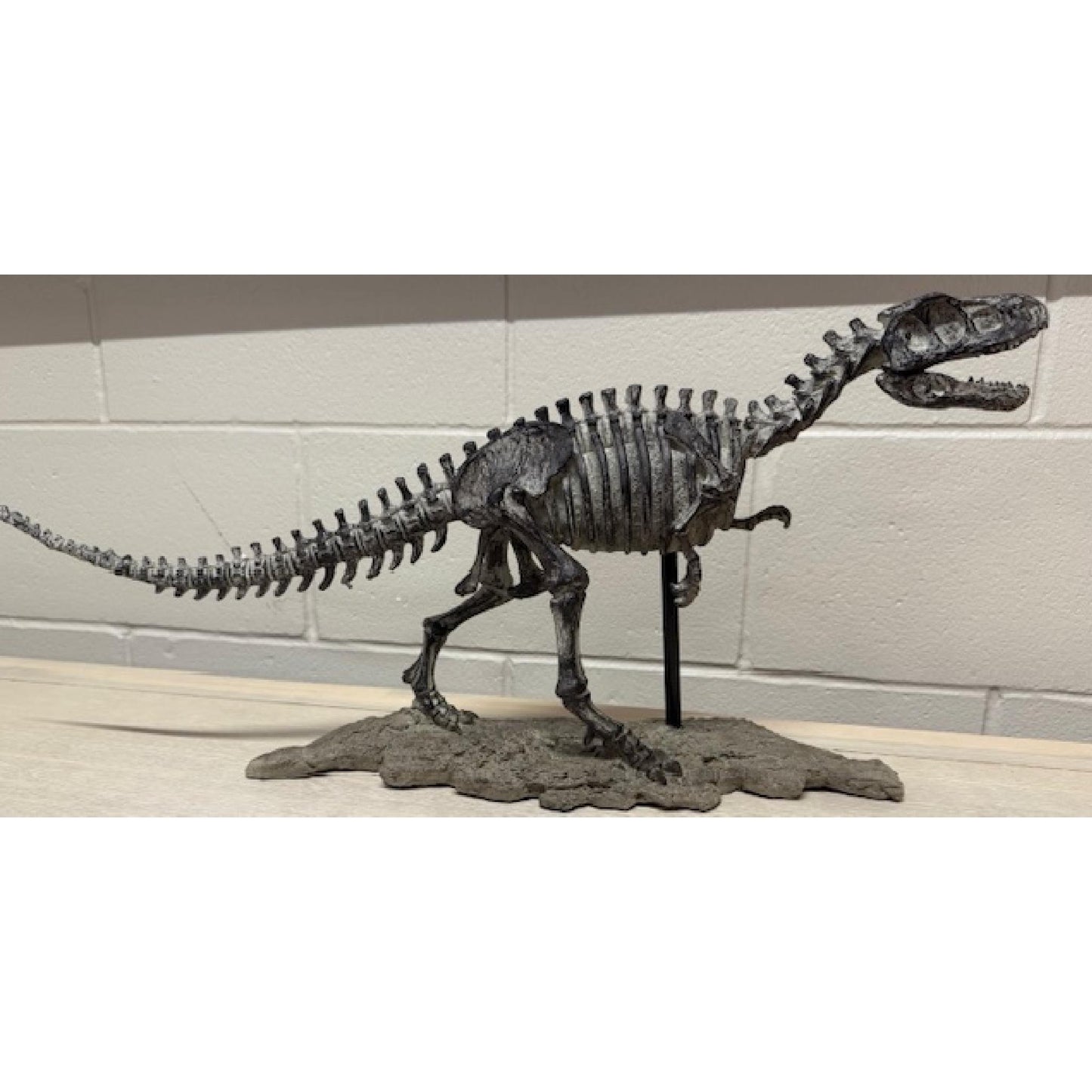 Dinosaur T Rex