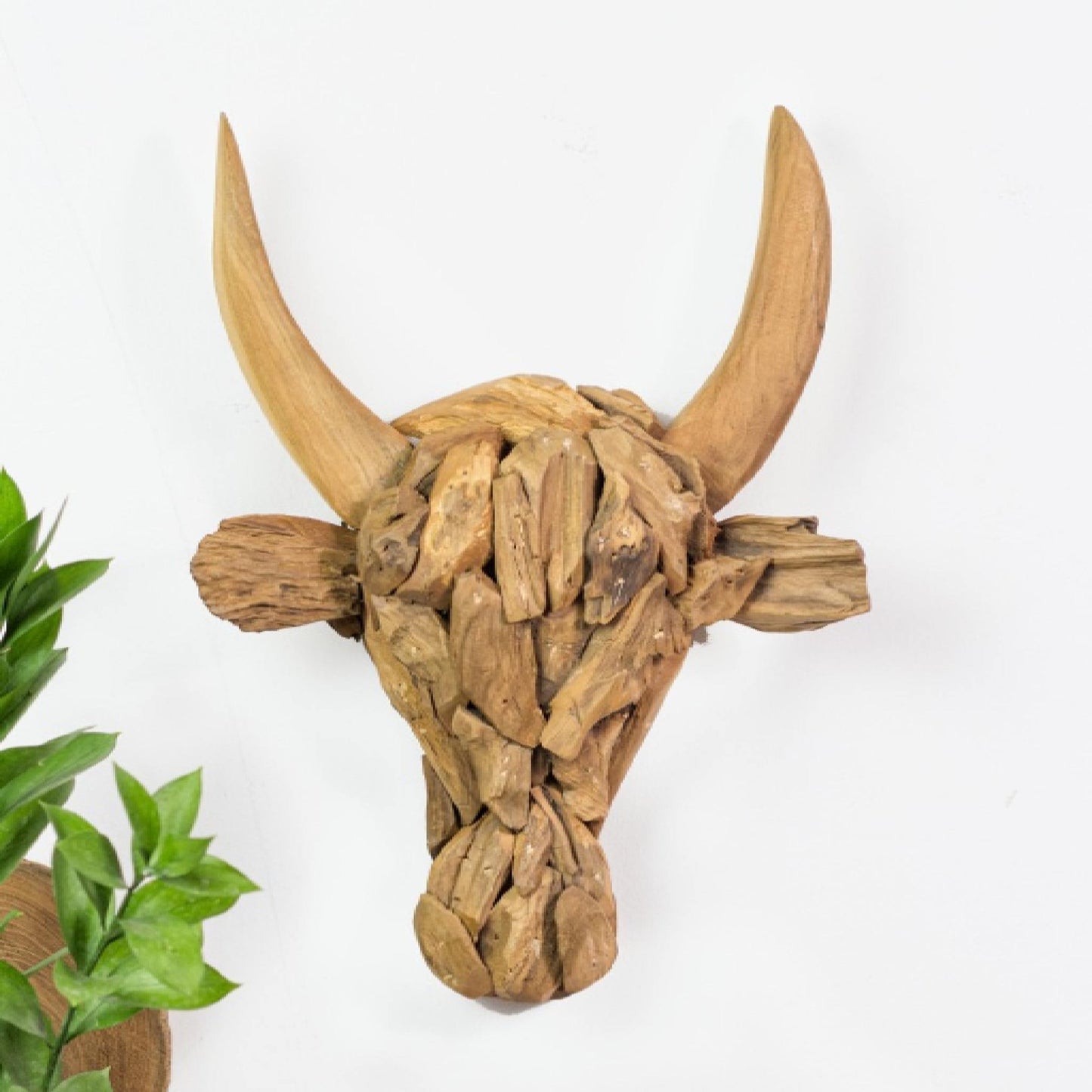 Bull Head with Long Horn