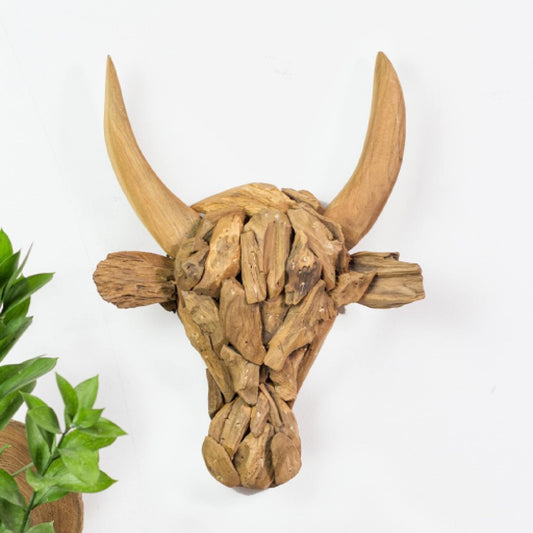 Bull Head with Long Horn