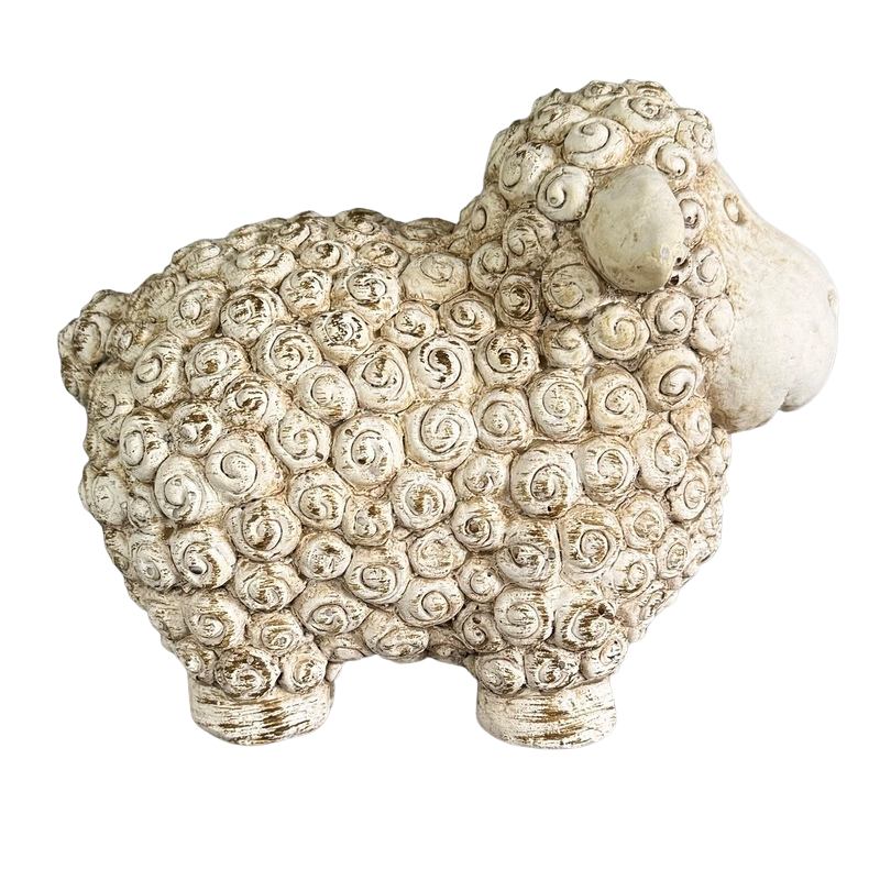 Standing Sheep