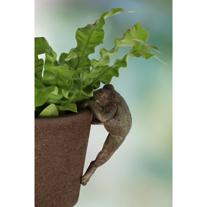 Pot Hanger - Frog