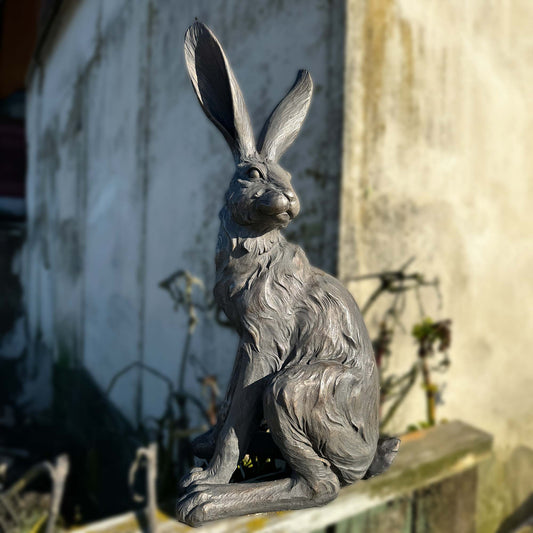 Truffle country Hare-Standing Grey