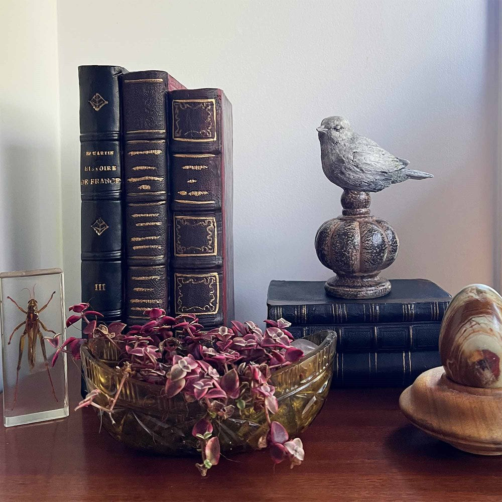 Antique Stacking Books Decor - Black & Brown