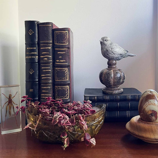 Antique Stacking Books Decor - Black & Brown