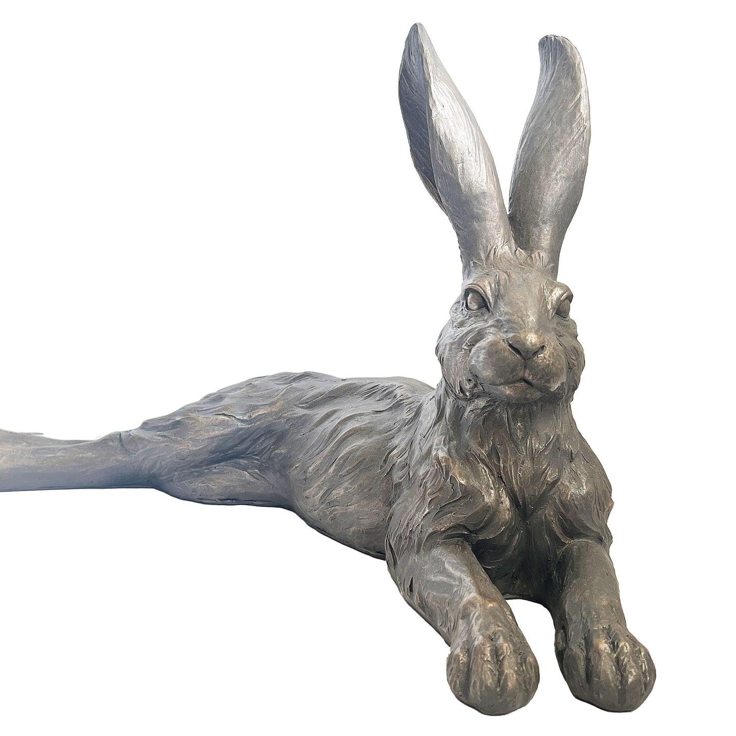 Shadow Country Hare - Resting Grey