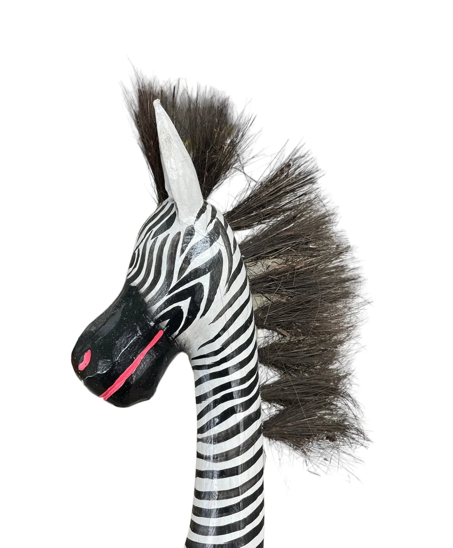 Sitting Hairy Zebra