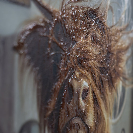 Framed Art - Bad Hair Day - Highland Cow