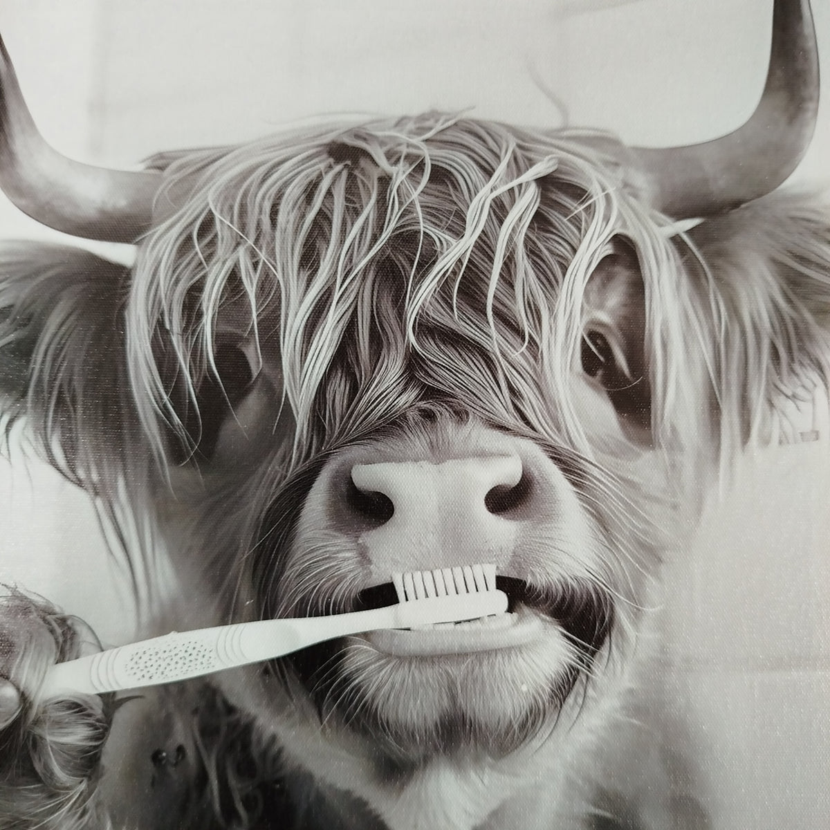 Framed Art - Highland Cow Teeth 30x40