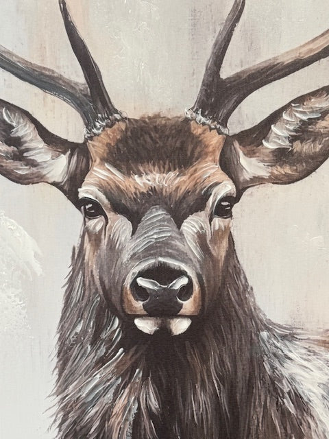 Framed Stag  80cm x 120cm