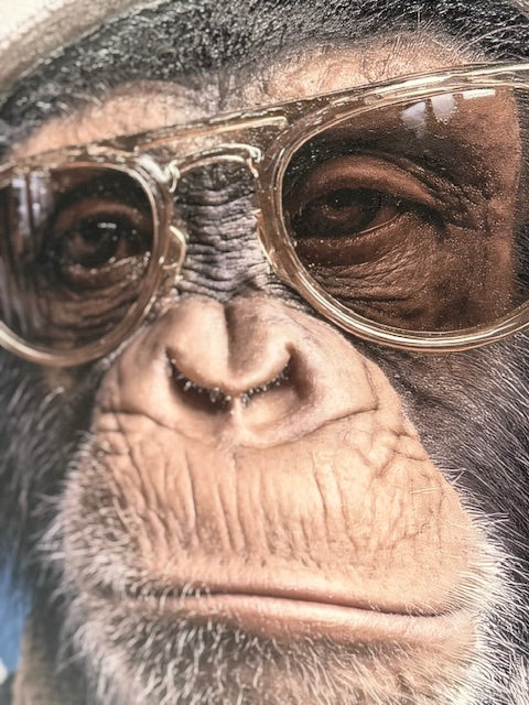 Framed Wall Art - The Nike Chimp 60cm x 80cm