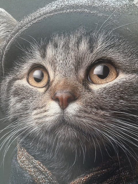 Framed Wall Art - The Worker Cat 60cm x 80cm