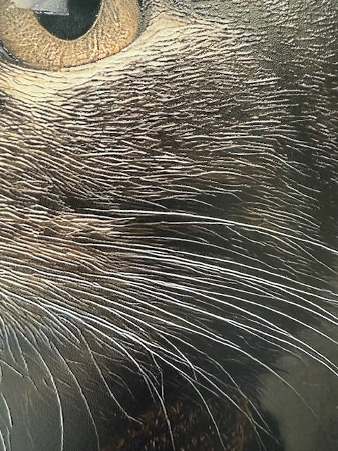 Framed Wall Art - The Worker Cat 60cm x 80cm