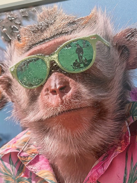 Framed Wall Art - The Hawaiian Chimp 60cm x 80cm