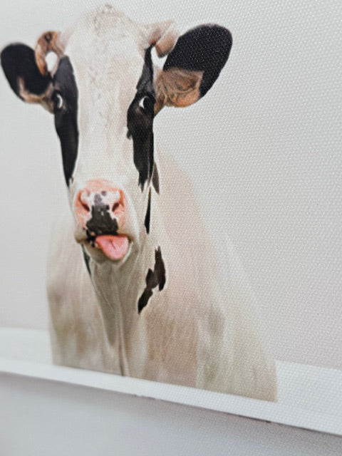Framed Bath Time Black and White Cow 30cm x 40cm