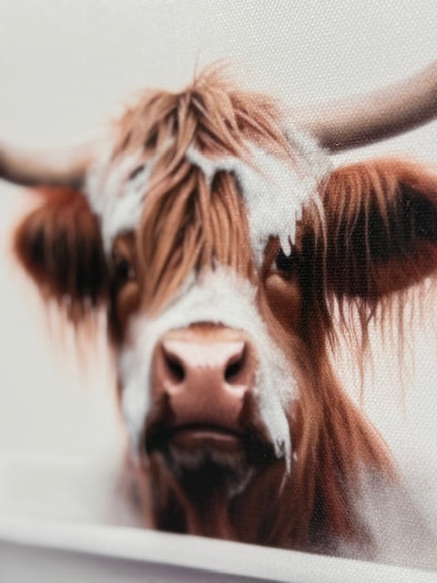 Framed Bath Time Highland Cow 30cm x 30cm