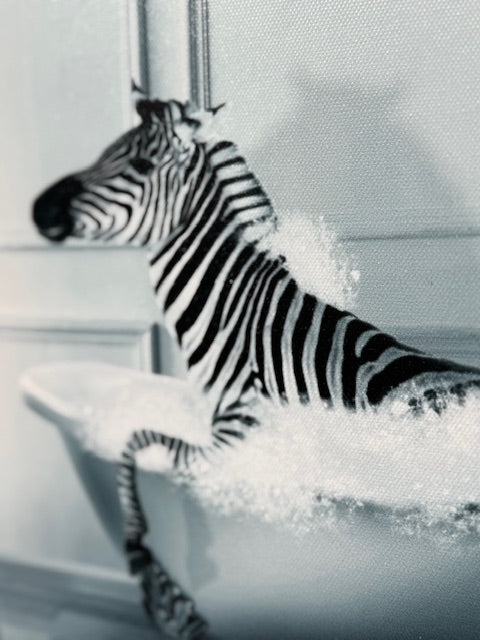 Framed Bath Time Zebra 30cm x 30cm