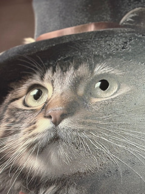 Framed Wall Art - The Gentleman Cat  60cm x 80cm