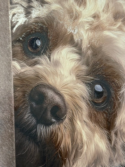 Framed Wall Art - Dog Peek a Boo 80cm x 80cm