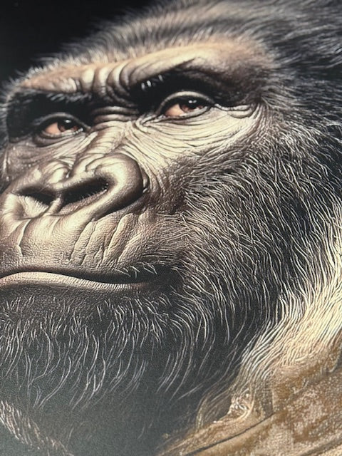 Framed Wall Art - The Victorian Gorilla  60cm x 80cm