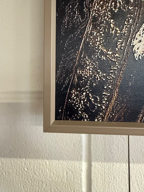 Framed Wall Art - The Victorian Gorilla  60cm x 80cm