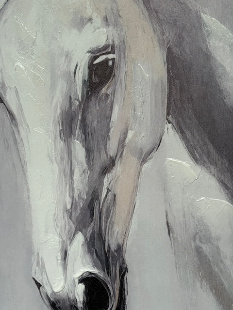 Framed White Horse 70cm x 100cm