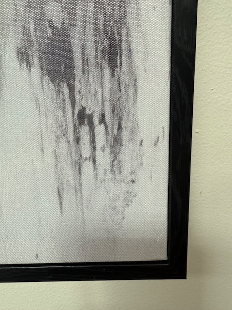 Framed White Horse 70cm x 100cm