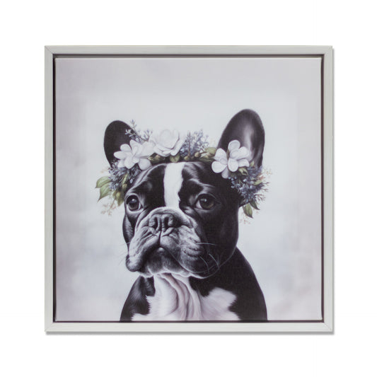 Framed Art - It's a Dog's Life 30x30