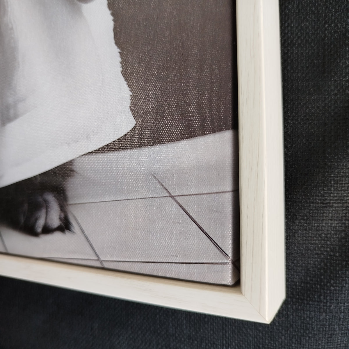 Framed Art - Kitten in Robe 30x40