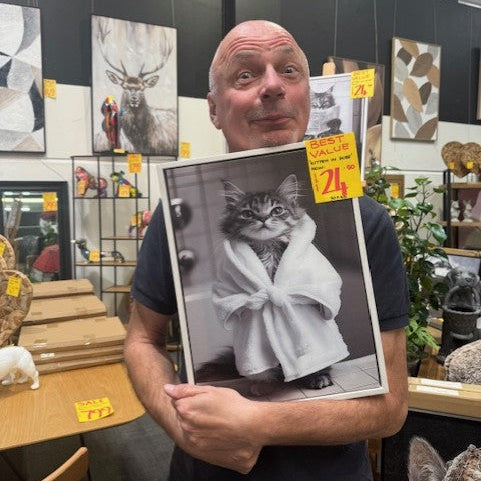 Framed Art - Kitten in Robe