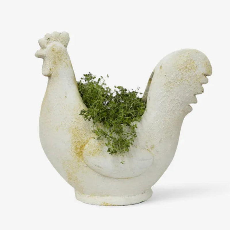 Pot - Chook Flower Pot