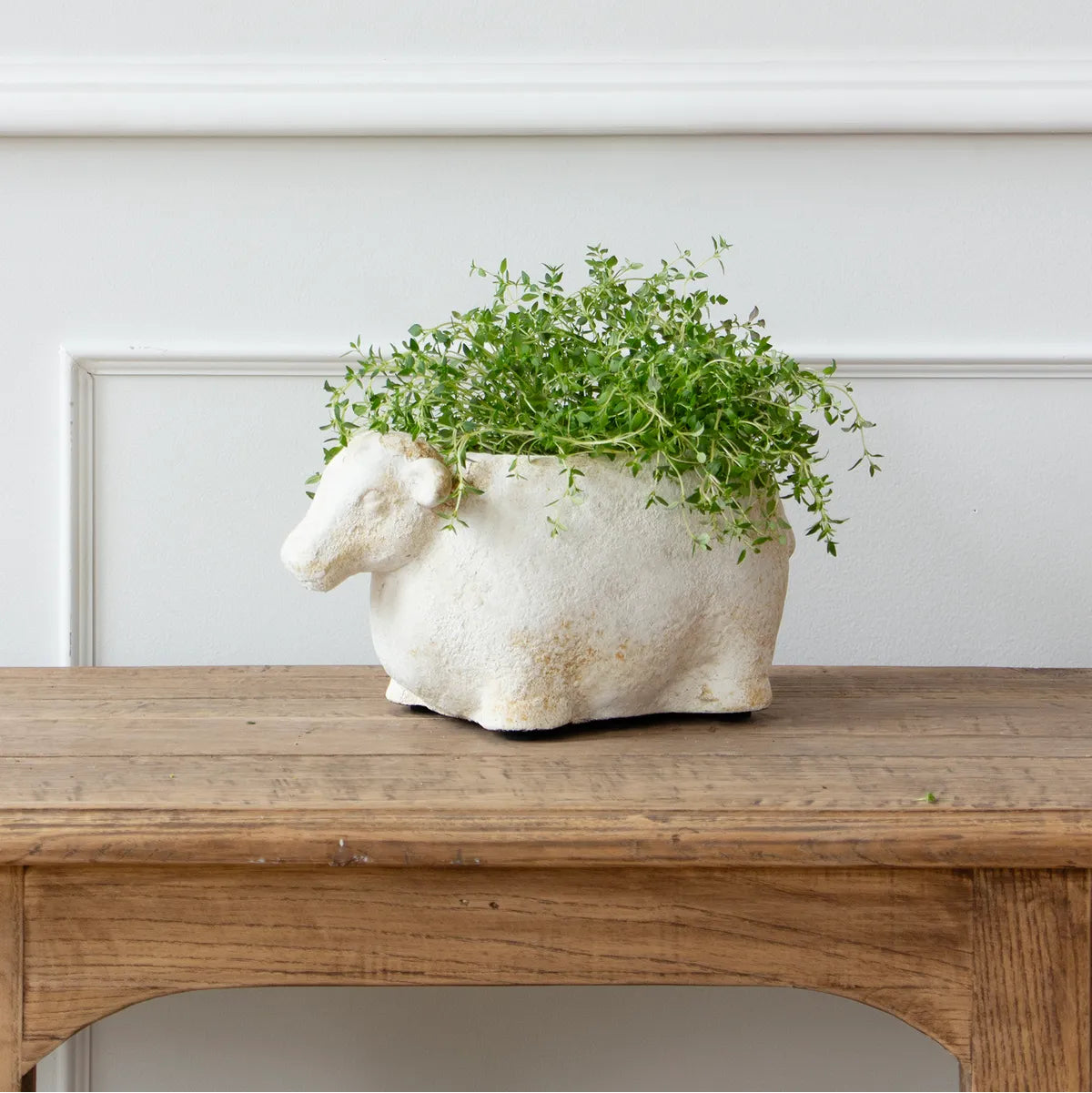 Pot - Sheep Flower Pot