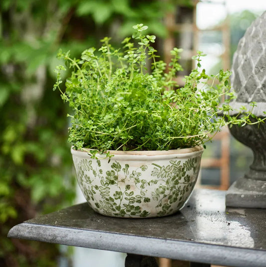 Pot - Botanical Pot - Large