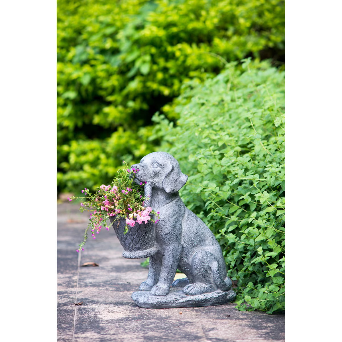 Dog Planter