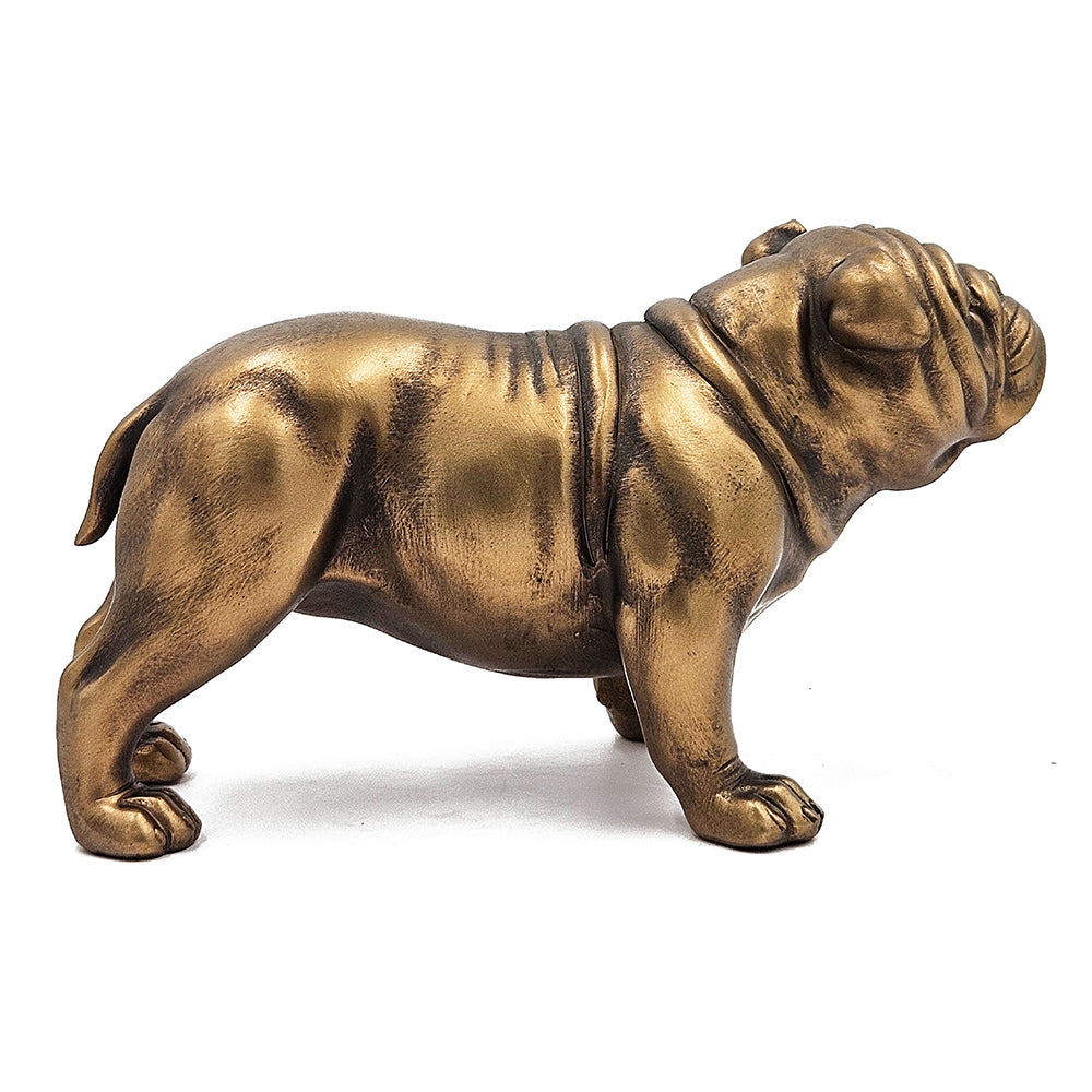 Gold Bulldog
