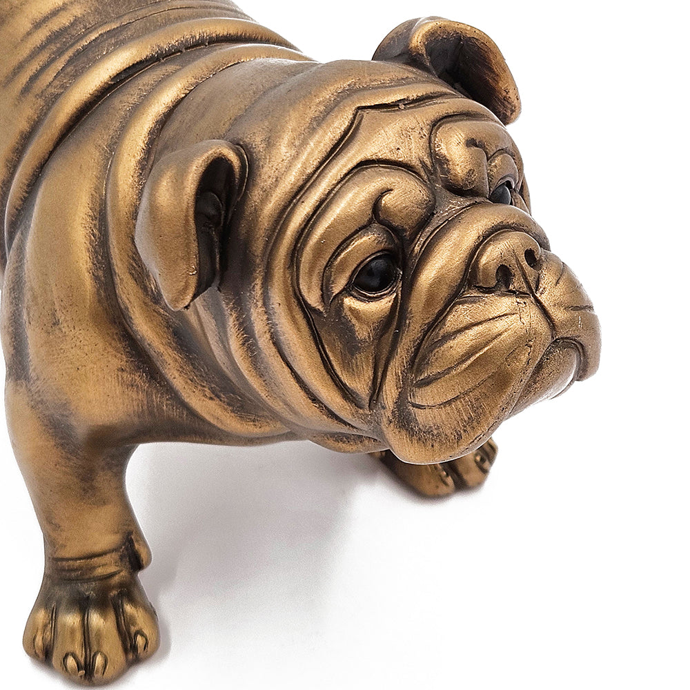 Gold Bulldog