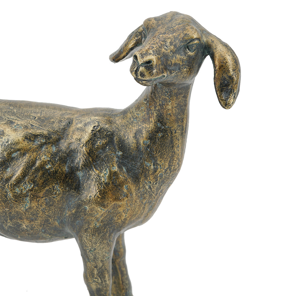 Bronze Sheep – Standing