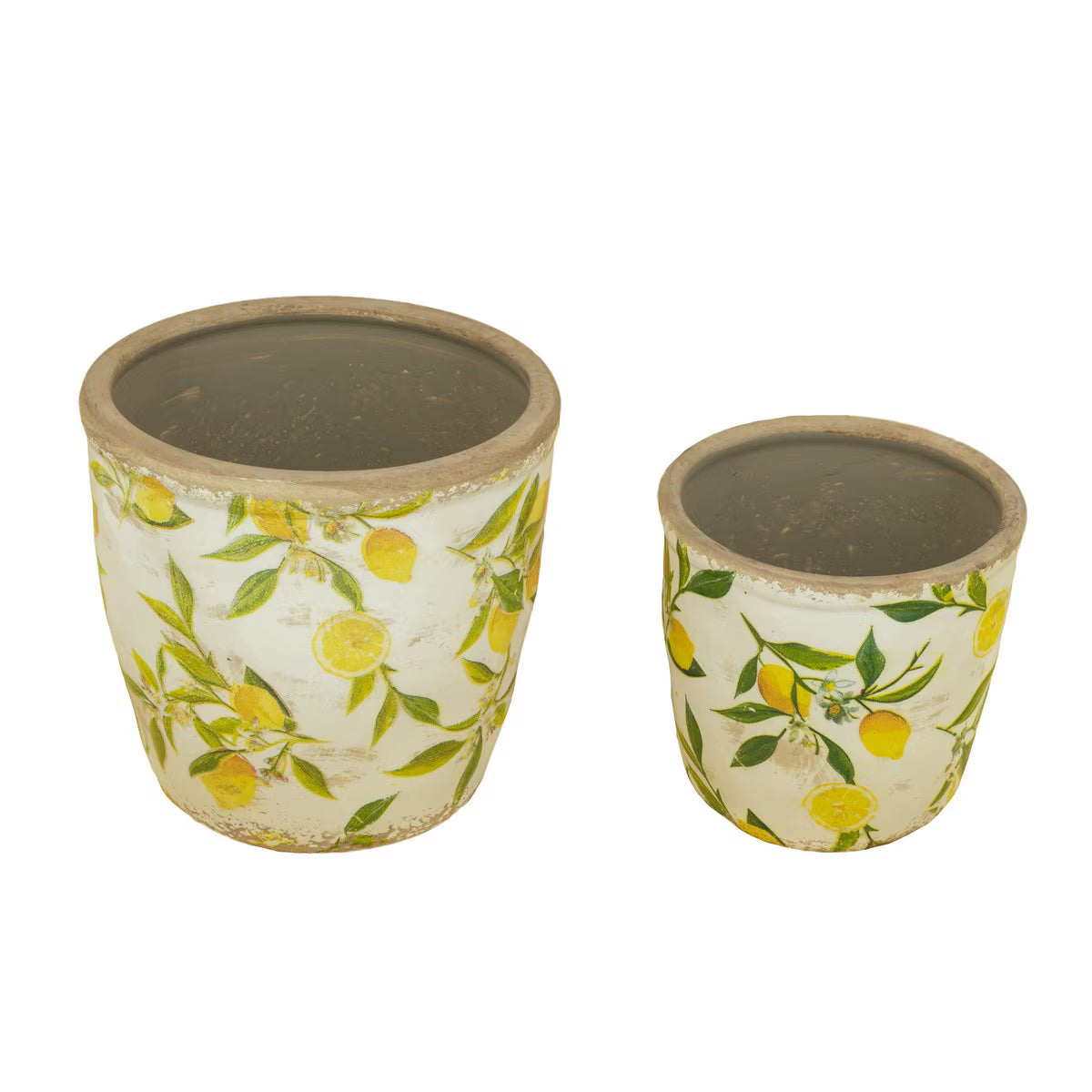Lemon & Leaves Planter Small