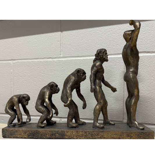 The Evolution of Man